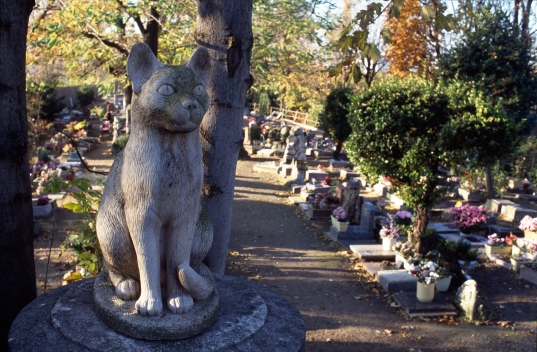 Le cimetière des chiens d'Asnières-sur-Seine